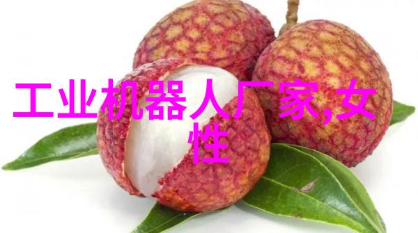 大疆停售教育机器人退潮