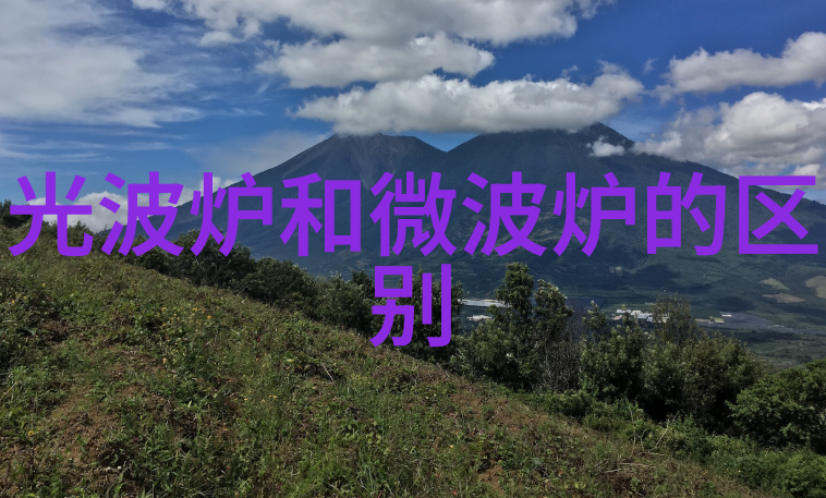 用微波炉怎么做八宝饭微波炉有辐射吗看权威机构怎么说