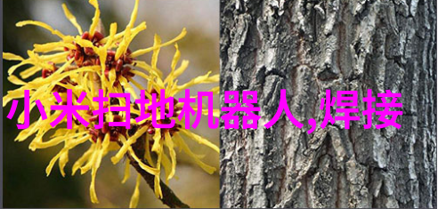 亚马逊明年将运用Echo语音助手推家用机器人