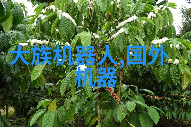 华为嘉腾联合发布物流机器人通用接口协议
